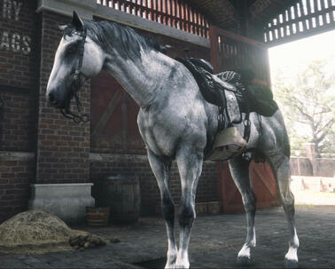 Ghost in stable