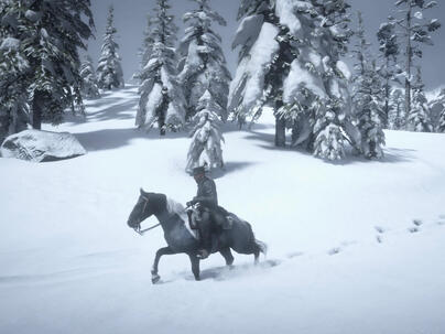 Corbeau in snow